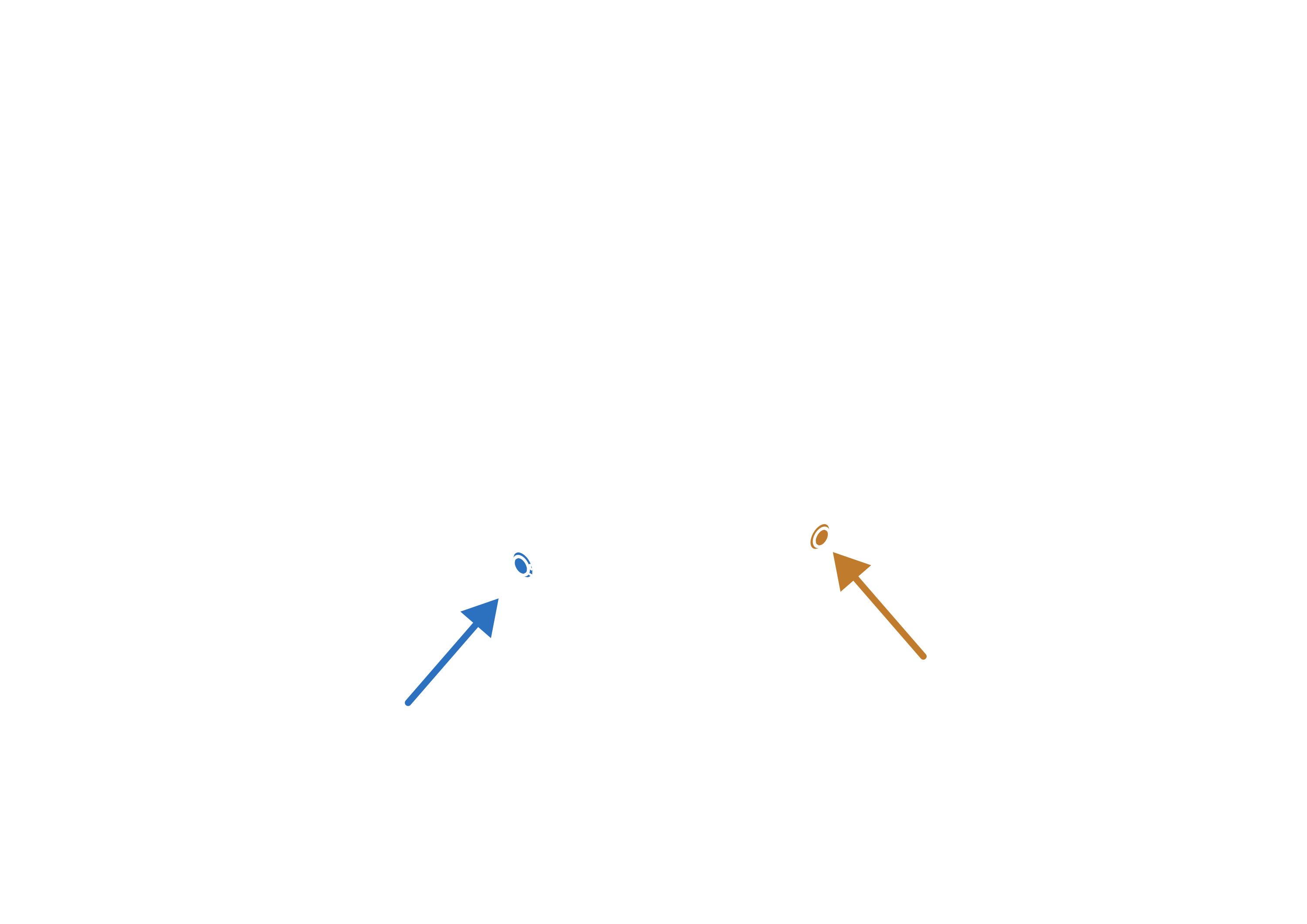 Diagram with arrows pointing to the buttons of Raph Rover, showing power and multifunctional buttons